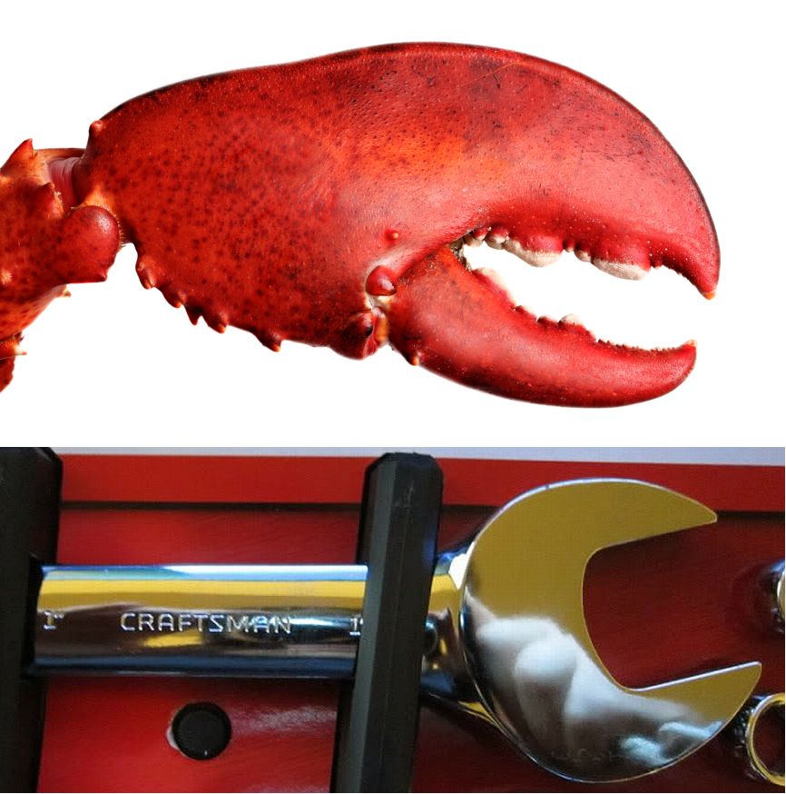 wobstercraw.jpg